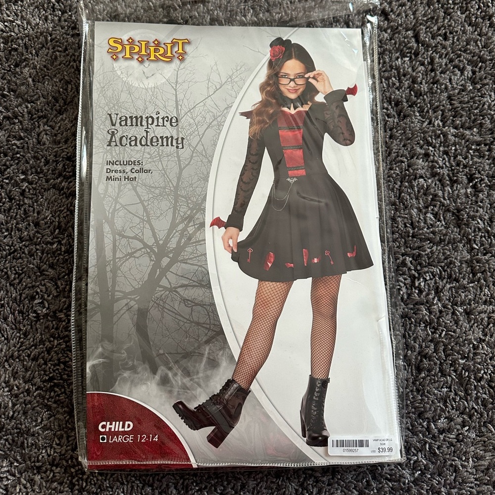 USED Spirit Halloween Vampire Academy costume.